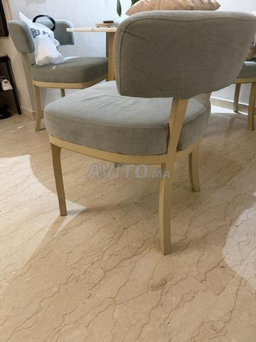 4 chaises Roche Bobois à vendre - 2