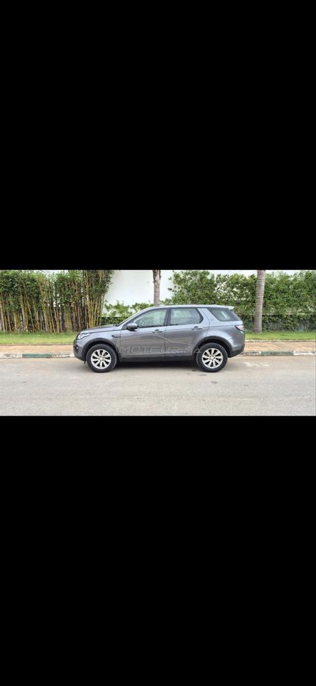 discovery sport