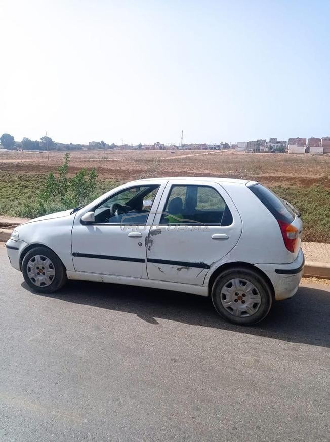 باليو برازيل نقية 