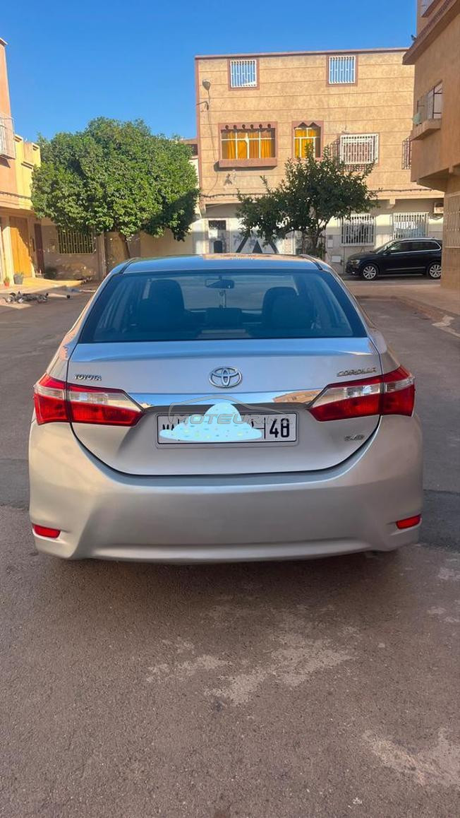 toyota corola