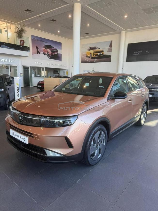 opel grandland credit disponible