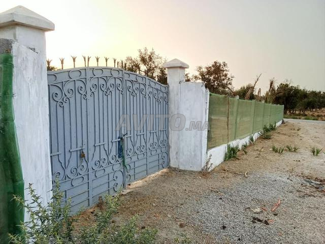 Terrain agricole 500 m², 15 min de Rabat - 2