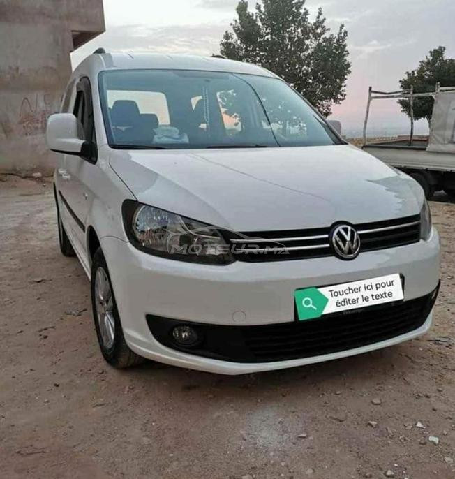 مرجان سكنة 