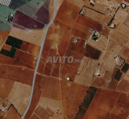 Terrain de 11600 m² à vendre