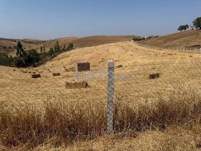 Commune Sidi Bettach Benslimane - 2