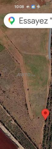 Terrain de 10 000 m² à vendre