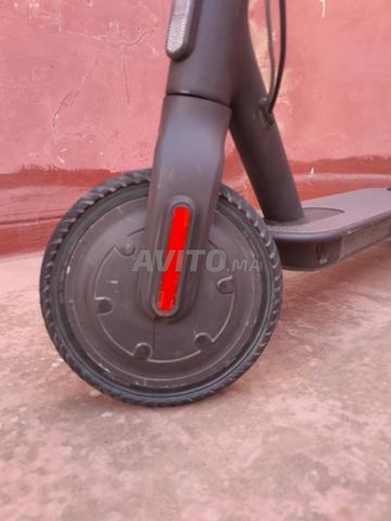 سكوتر كهربائي شاومي ام 365 🛴 - 2