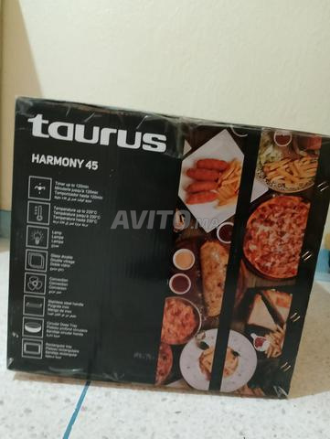 Four électrique Taurus Harmony 45L - 2