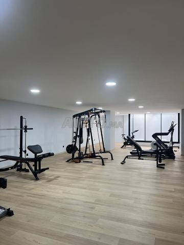 Studio d’exception Oasis - 2