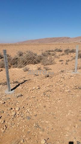 Terrain sur route Tiznit Dakhla - 2