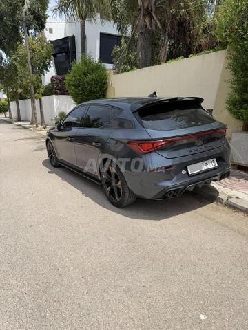 كوبرا ليون 2023 - 2