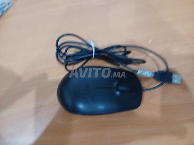 Bonne souris - 2