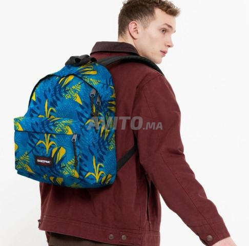 حقيبة ظهر إيستباك Padded Pak’R – أصلية - 2