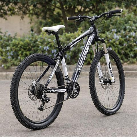 🚲 دراجة SCOTT للبيع بثمن 2000 درهم - 2