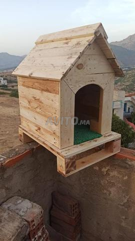 بيت للكلاب والقطط، صغير وكبير - 2