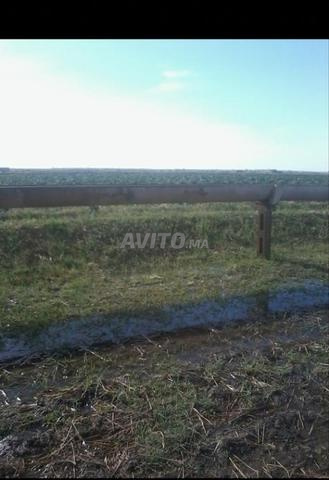 Terres agricoles irriguées à vendre Titrée - 2