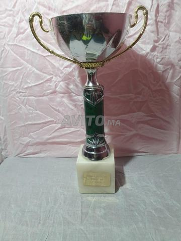 Coupe et médaille de collection pour collectionneurs - 2