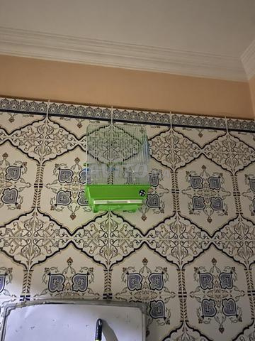 Grande cage à vendre