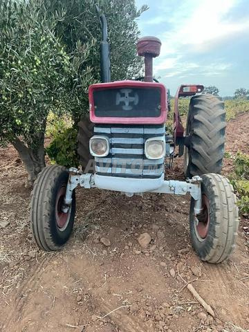 Massey Ferguson 178 - 2