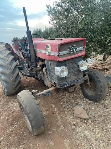 Massey Ferguson 165 - 2