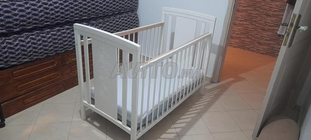 Une belle couveuse avec son incubateur - 2
