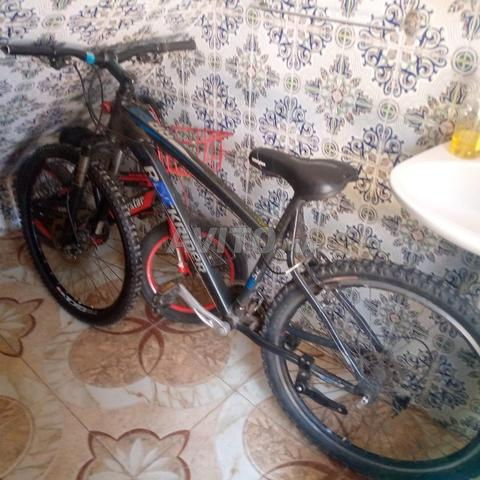 Rockrider - 2