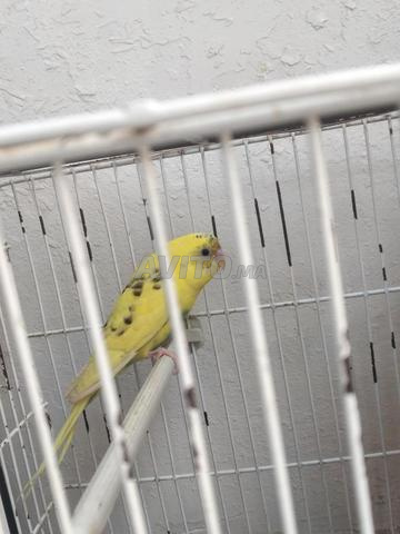 Beni Mellal Tifrit