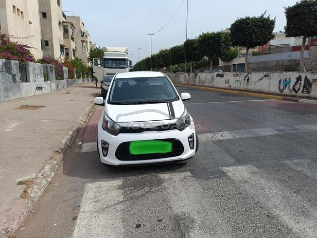 Picanto automatique 