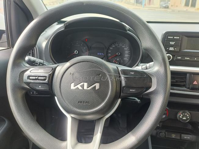 Picanto automatique 