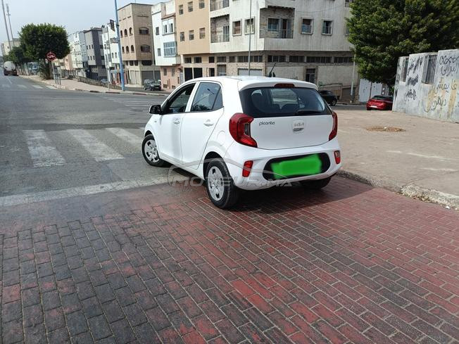 Picanto automatique 