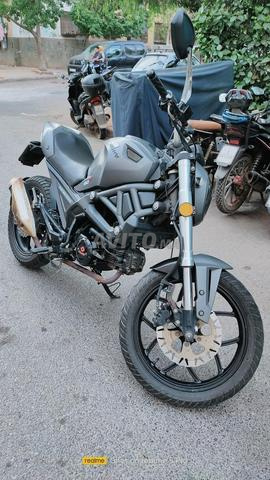Moto à vendre Cimatti Monster - 2