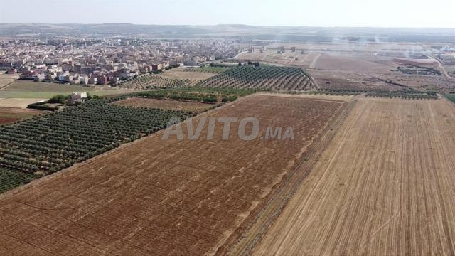 Terrain agricole de 8,5 hectares