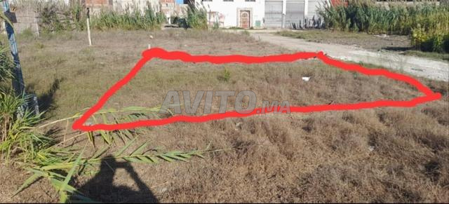 Terrain à vendre quartier Oued El Malh - 2
