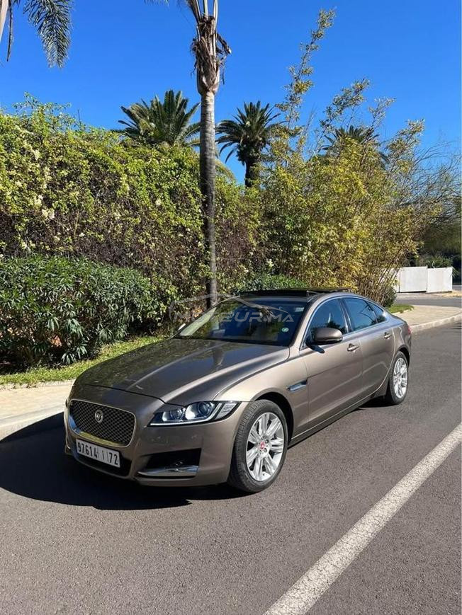 Jaguar XF Sport V6 340 ch – Essence – 1ère main