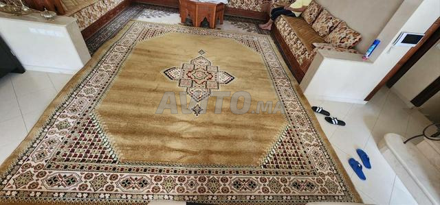 Grand tapis mécanique à l'état neuf