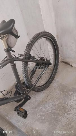 حالته جيدة ومن يرغب به فمرحبا - 2