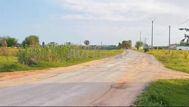 Ferme agricole de 6,8 ha à Tiflet À vendre