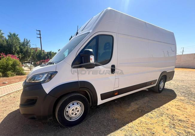 Peugeot boxer للبيع