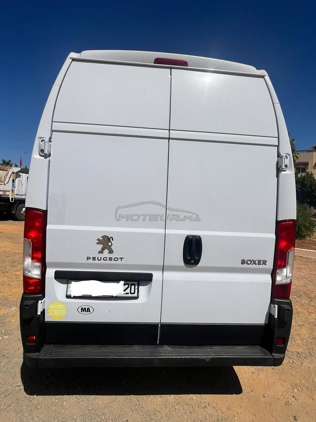 Peugeot boxer للبيع