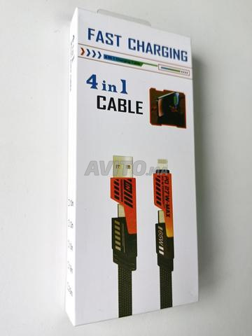 Câble multifonction Type C et Lightning - 2