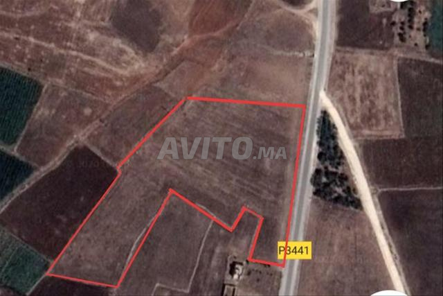 Commune Ouled Hamdan Douar Filalaha - 2