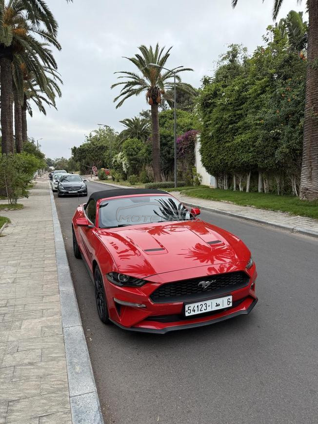 Ford Mustang ecoboost convertible 2019