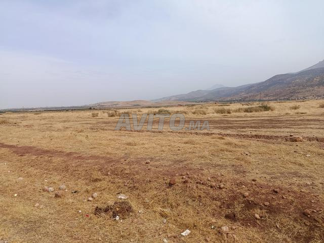 Vente de terrain - 2