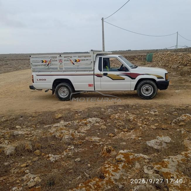 MitsubishiL300