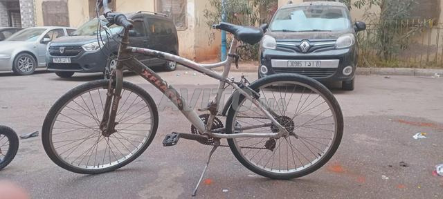 بيكَالا مليحة اللي بغا يدور، يتسركل - 2