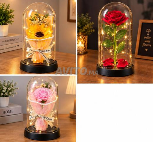 Dôme lumineux avec une rose attrayante - 2