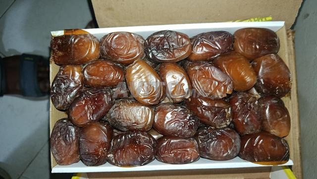 تمر زاكورة الرحمة - 2