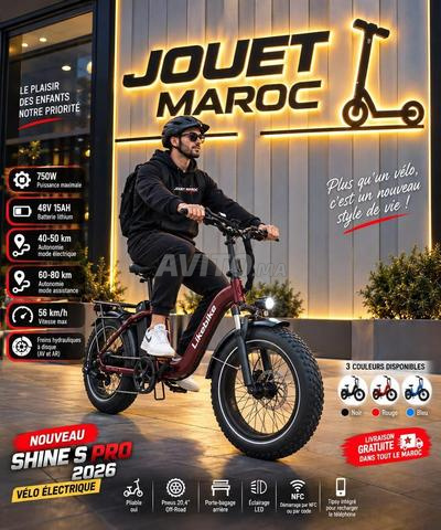 Vélo électrique - 2