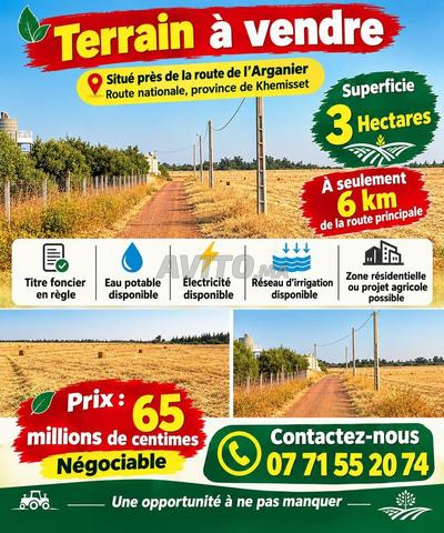 Terrain agricole à vendre 3 hectares - 2