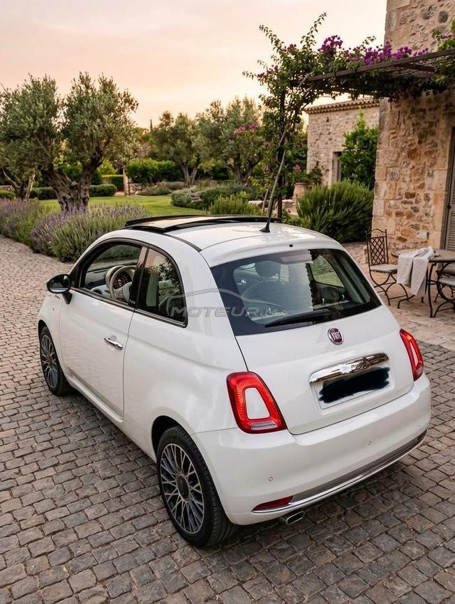 Fiat 500 dolcevita